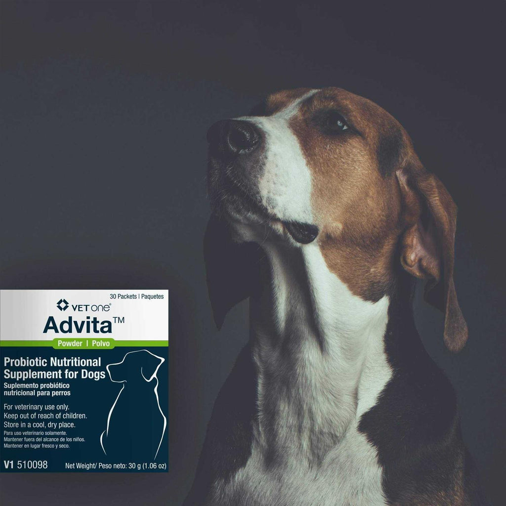 Probiotic Nutritional Supplement for Dogs B734
