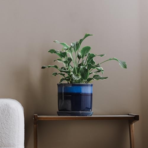 8 Inch Ceramic Planter Pot with Drainage Hole & Saucer Blue Reactive Glaze B4610