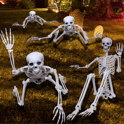 5.9Ft Posable Plastic Skeleton K969