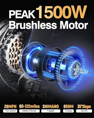 1500W Peak Motor 20" Fat Tires 28MPH Electric Bike with Removable Battery I71469