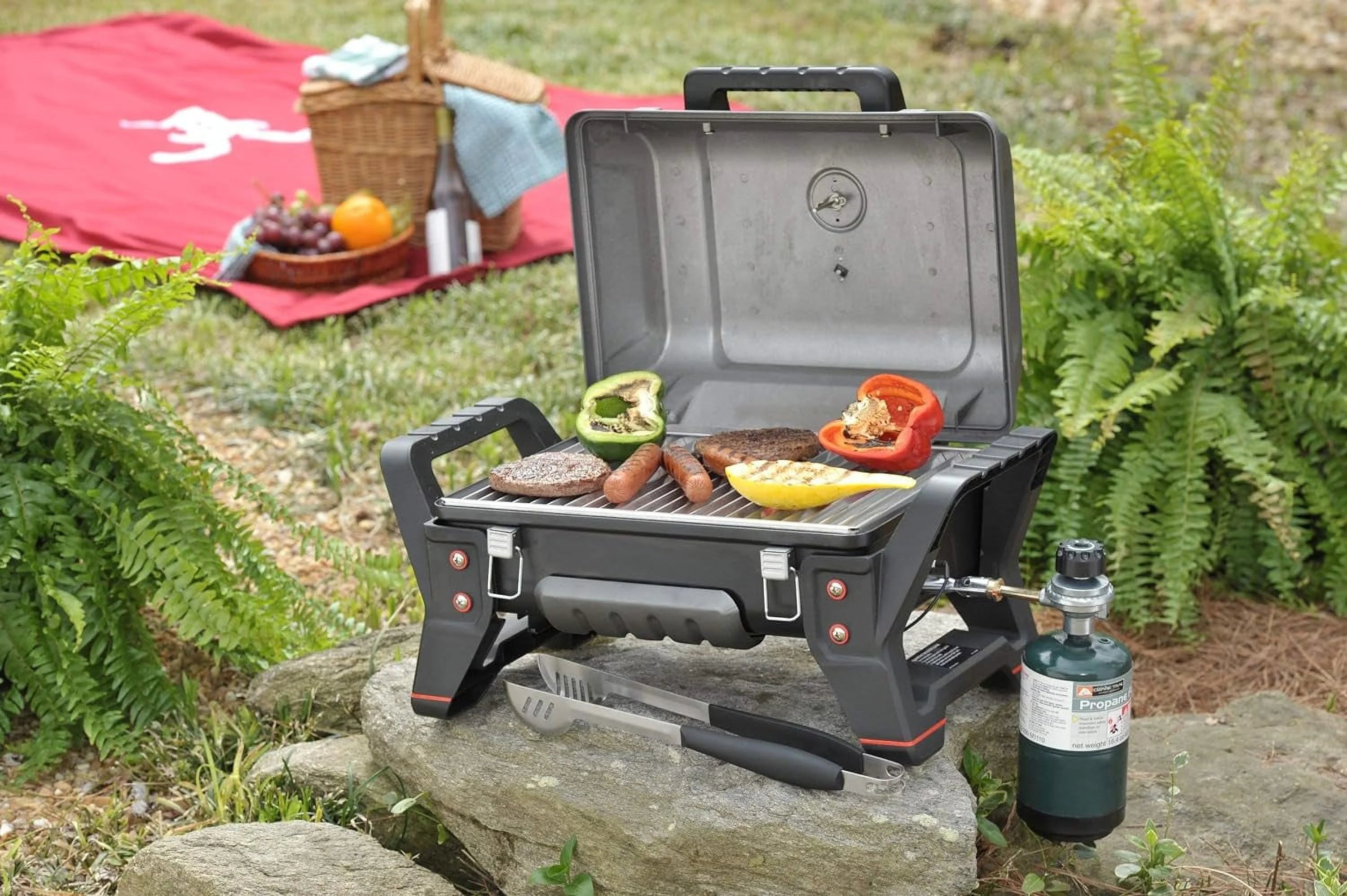 Portable Liquid Propane Gas Grill C65425