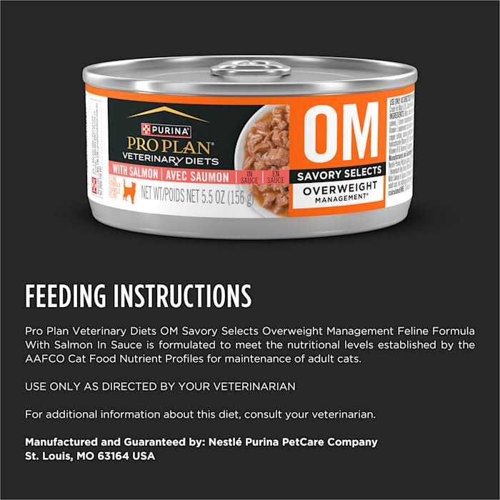 Wet Cat Food with Salmon N568085