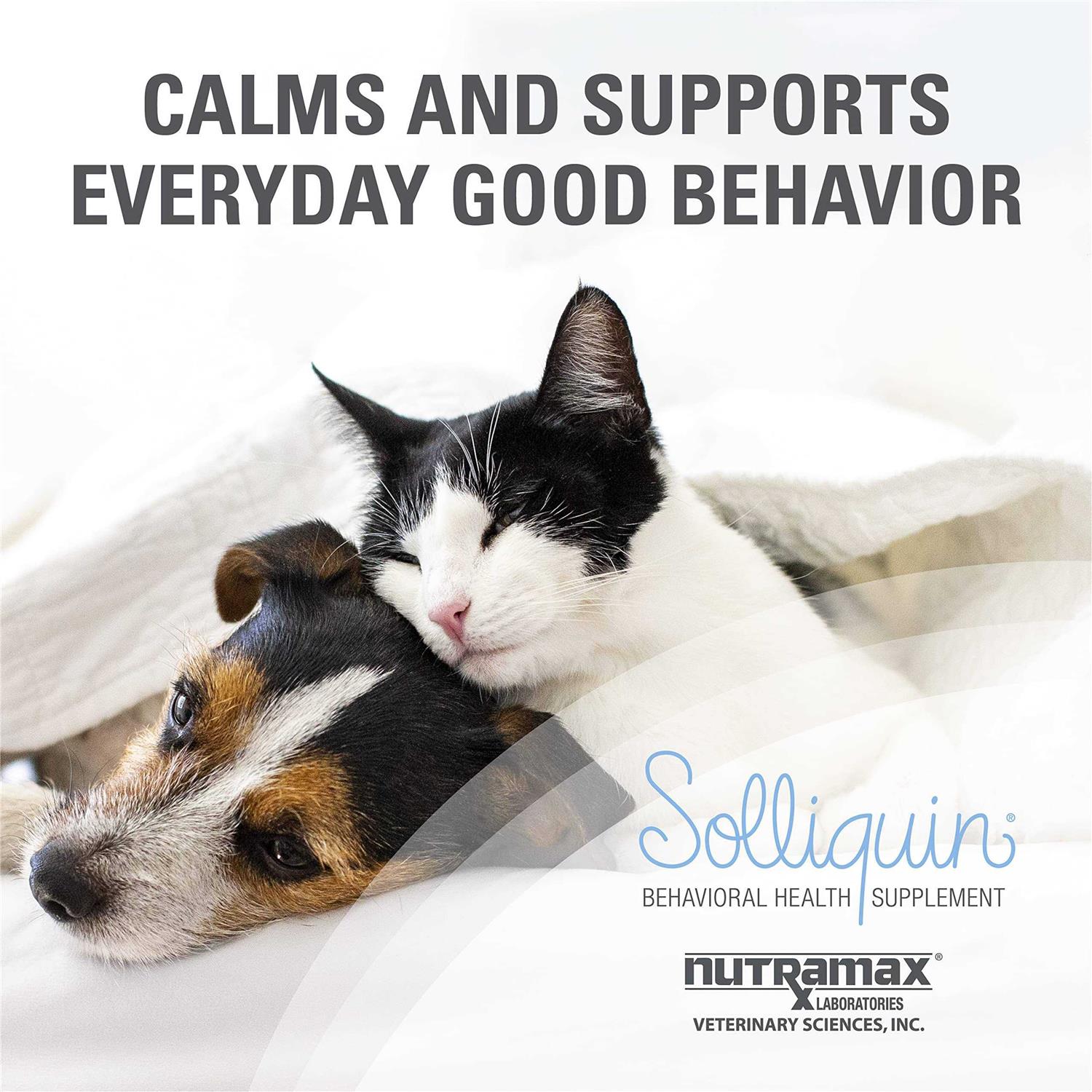 Calming Behavioral Health Supplement for Small to Medium Dogs and Cats J4567