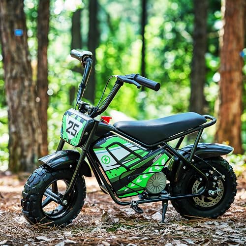 250W 24V 9Ah Electric Bike X91290