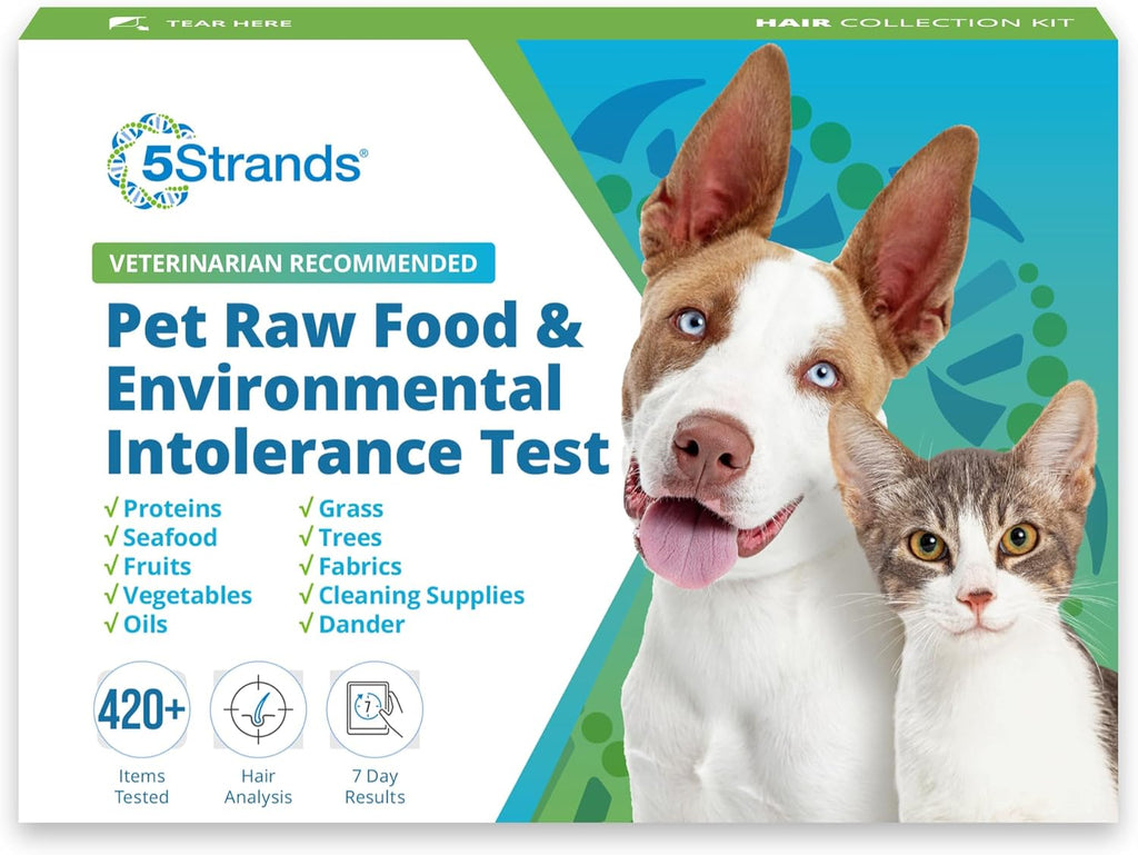 Pet Raw Food Intolerance & Environmental Sensitivity Test, Hair Sample Collection Kit H2716