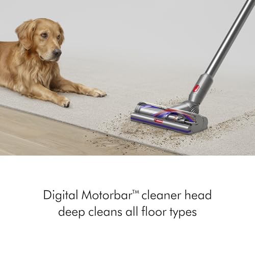 Yellow/Nickel Cordless Vacuum K65160