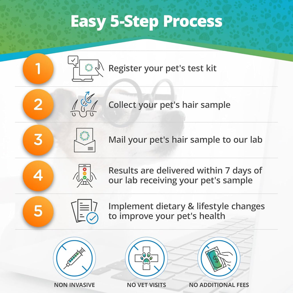 Pet Raw Food Intolerance & Environmental Sensitivity Test, Hair Sample Collection Kit H2716