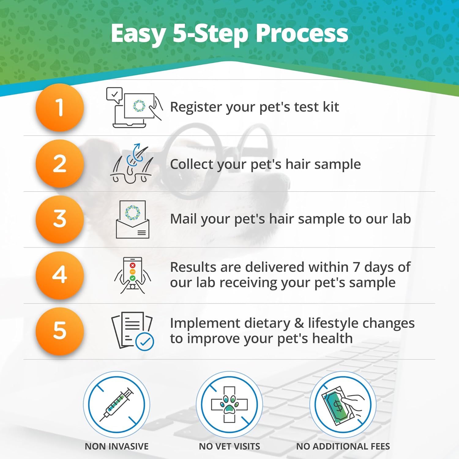 Pet Raw Food Intolerance & Environmental Sensitivity Test, Hair Sample Collection Kit H2716