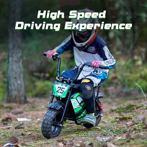 250W 24V 9Ah Electric Bike X91290
