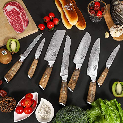 8 Piece Damascus Steel VG10 Stainless Steel Knife Set with Wood Block M5087