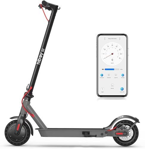 Electric Scooter with 8.5"/9" Tires, 350W Motor, 19 MPH, Double Braking System A9213
