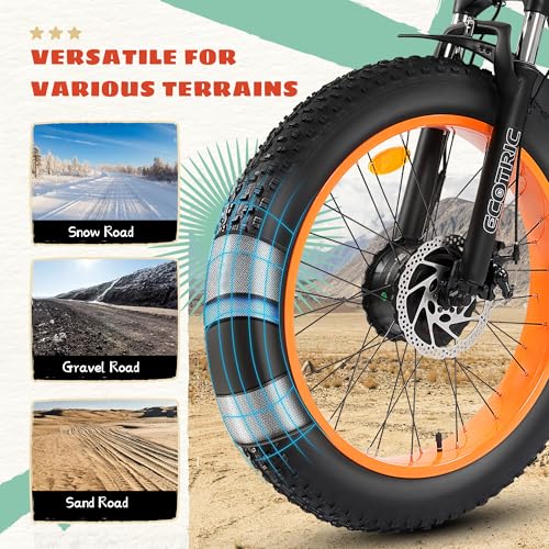 Electric Tricycle, Fat Tire 750W 48V 22.4AH Removable Battery, 7 Speeds 3 Wheel Electric Trike with Basket X3905
