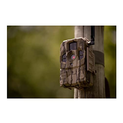 Cellular Trail Camera 2-Pack with 32GB Memory Card and Card Reader R7208