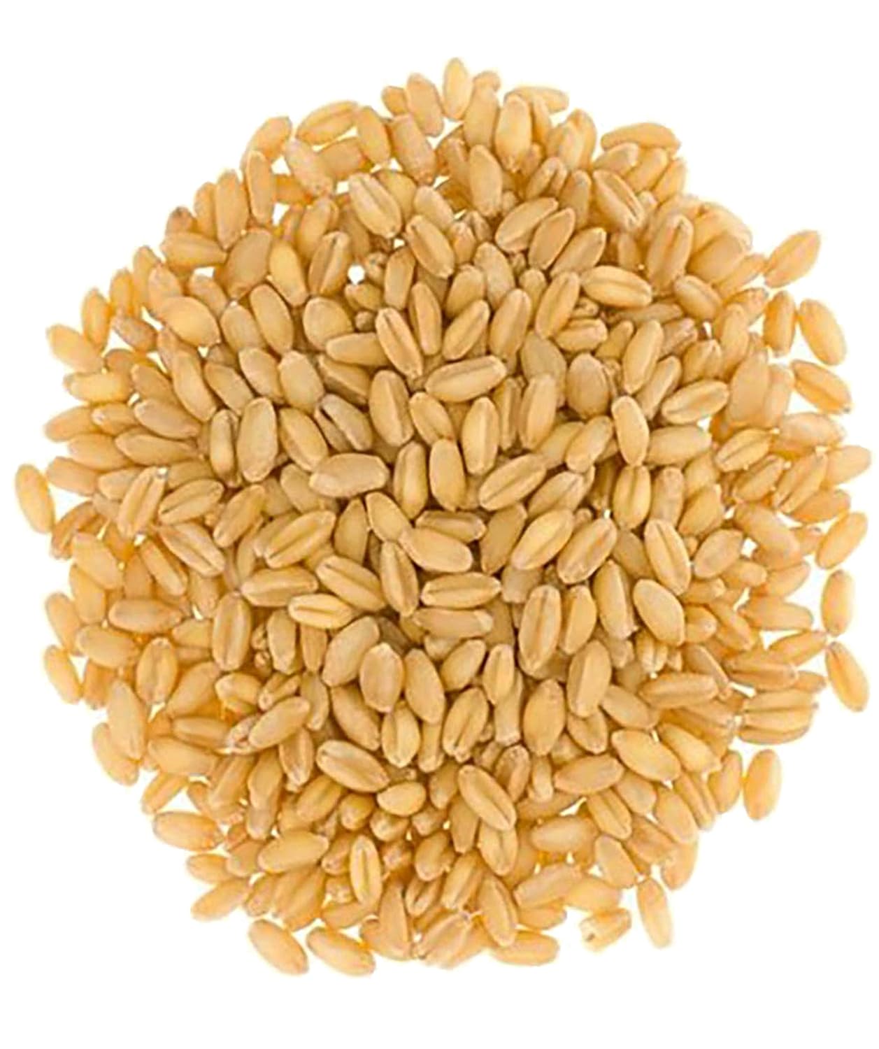 3-4 LB Kraft Bags (12 LBS total) Hard White Wheat Berries D553070