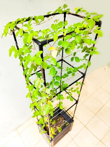 2 Pack 63" Large Outdoor Garden Planter Box with Trellis and Caster I1281