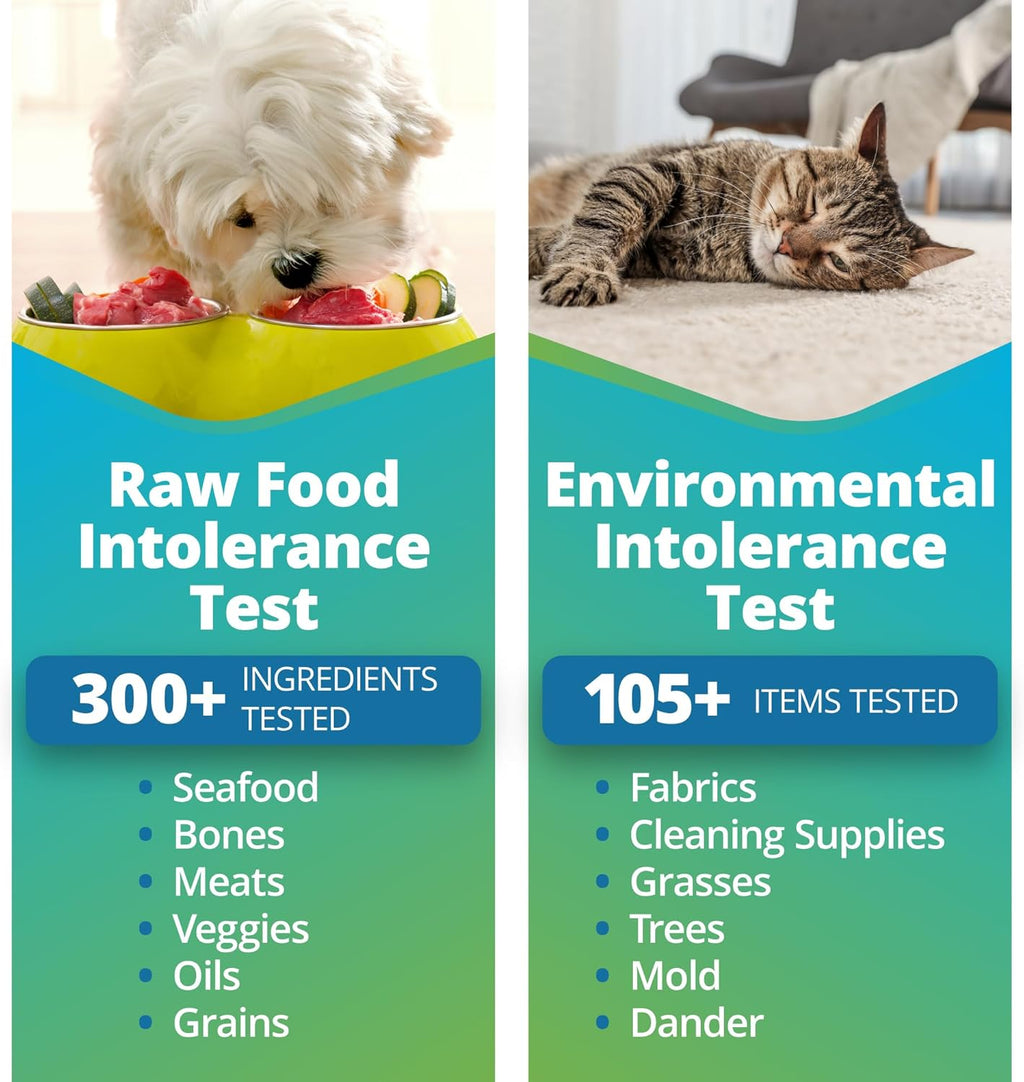 Pet Raw Food Intolerance & Environmental Sensitivity Test, Hair Sample Collection Kit H2716