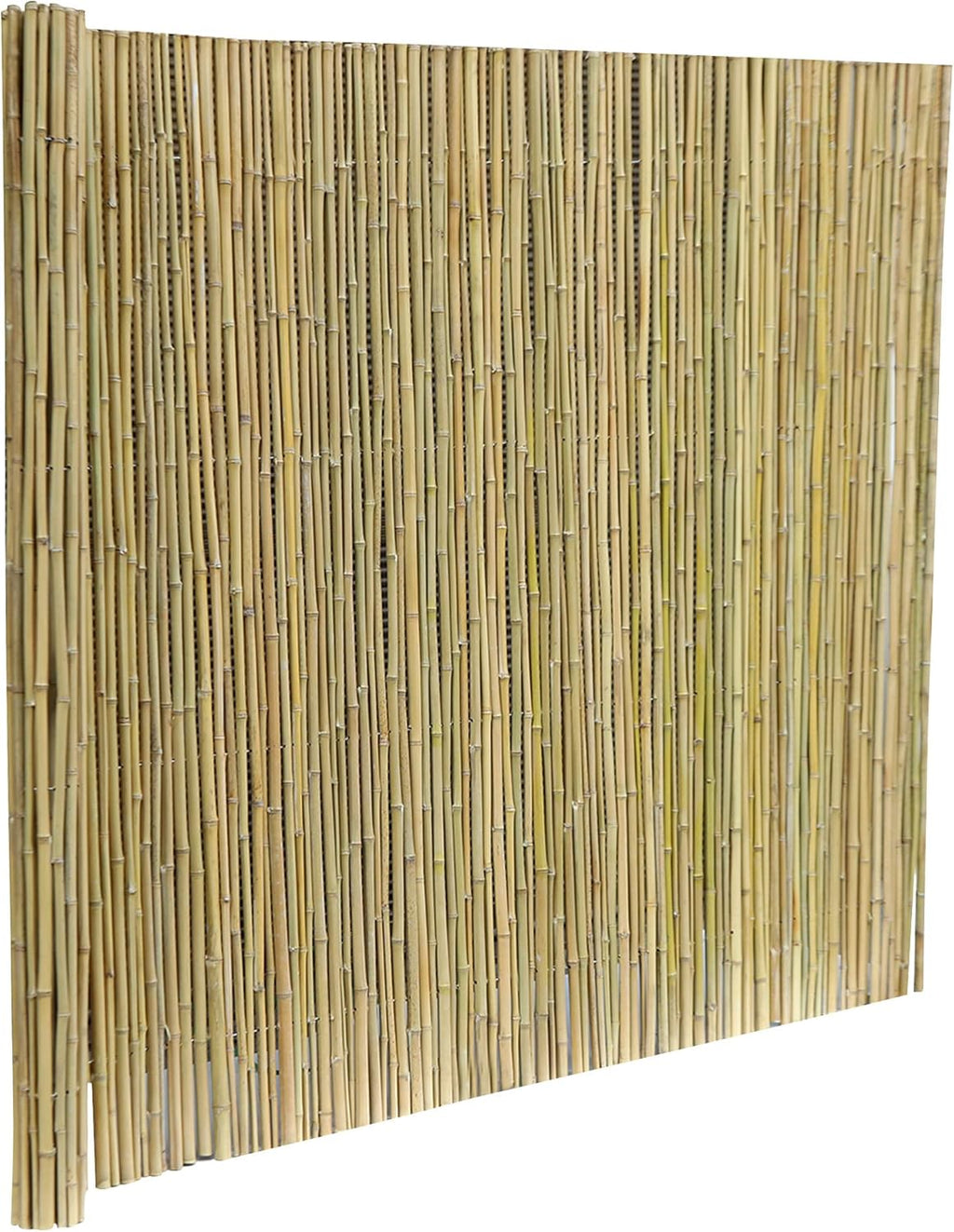 Bamboo Fence 8ft x 6ft Natural Privacy Screen T455144