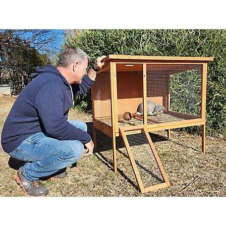 Rabbit Hutch X77201