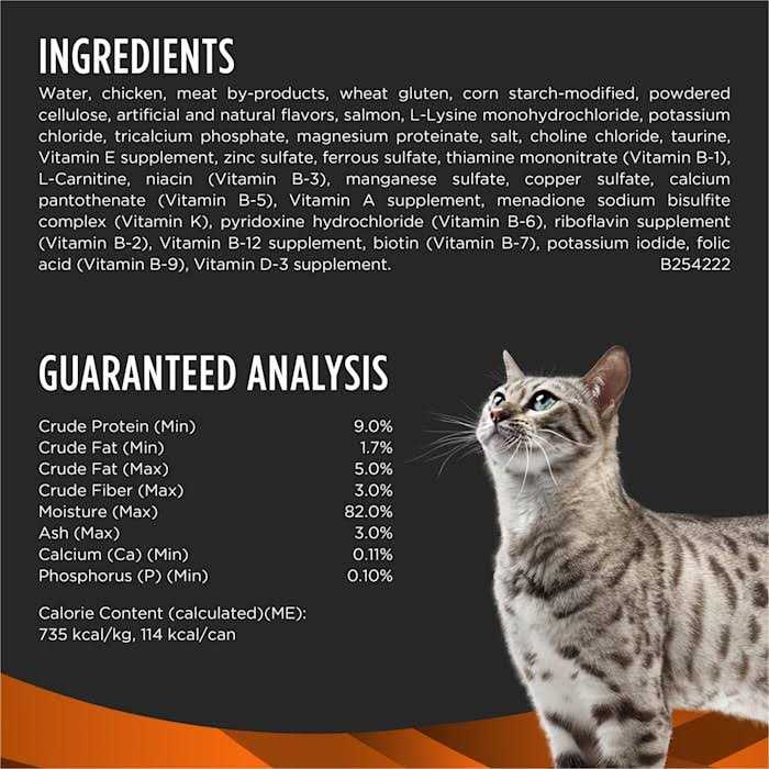 Wet Cat Food with Salmon N568085