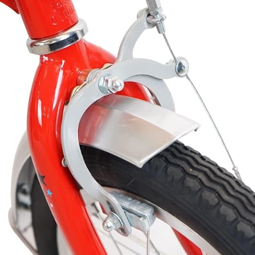 Lightweight Alloy Folding Bike with Colorful Wheel M737055