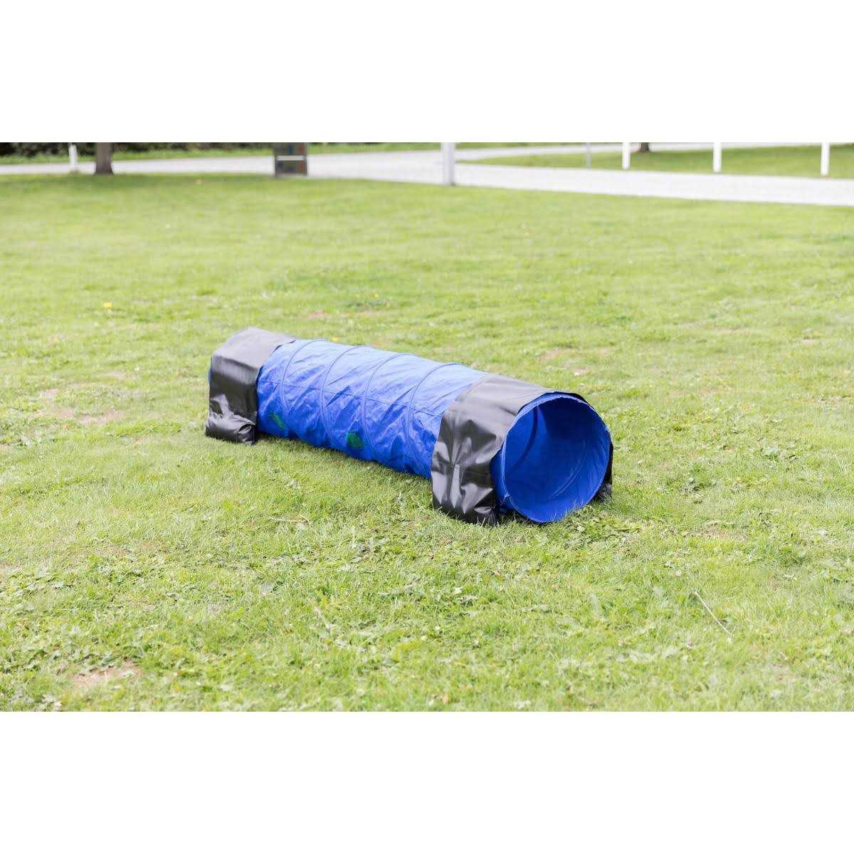 Agility Tunnel B70035