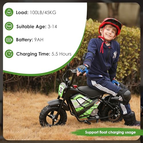250W 24V 9Ah Electric Bike X91290