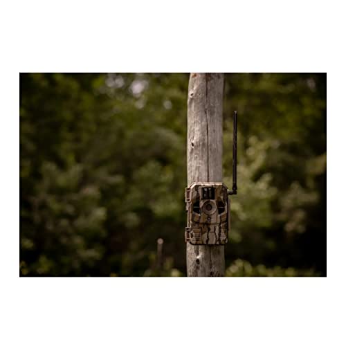 Cellular Trail Camera 2-Pack with 32GB Memory Card and Card Reader R7208