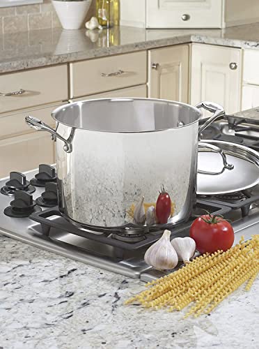 8-Quart Stainless Steel Stockpot with Cover Y5276