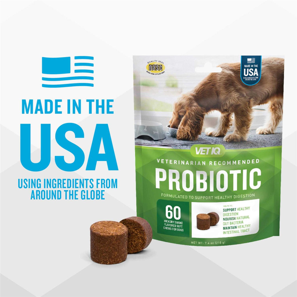 Probiotic Soft Chew Supplement for Dogs C408043