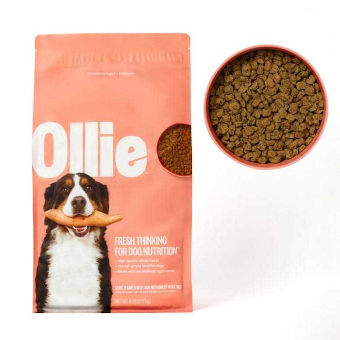 Beef Dish with Sweet Potatoes Dry Dog Food Z654436