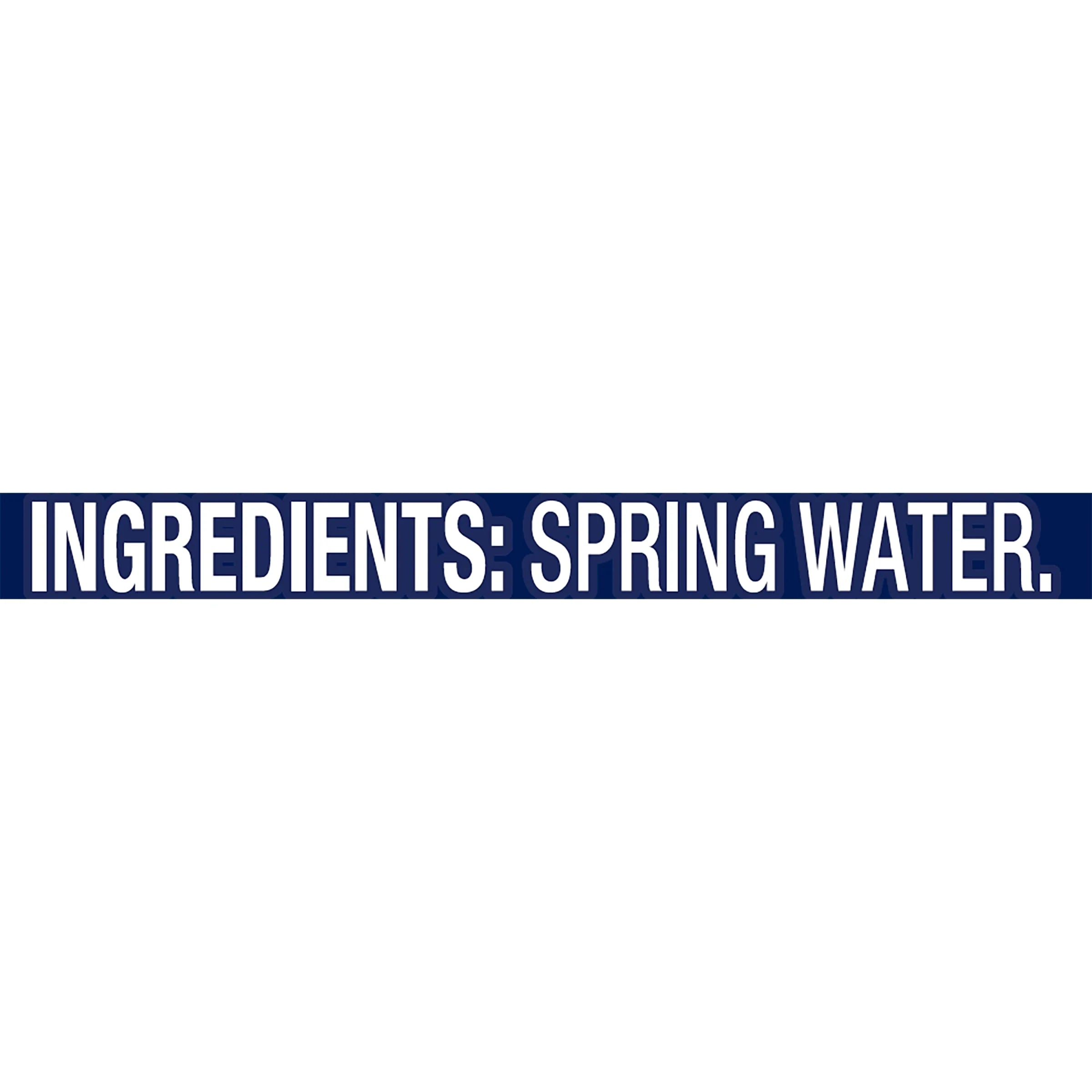 16.9-ounce Plastic Spring Water (Pack of 32) N7665