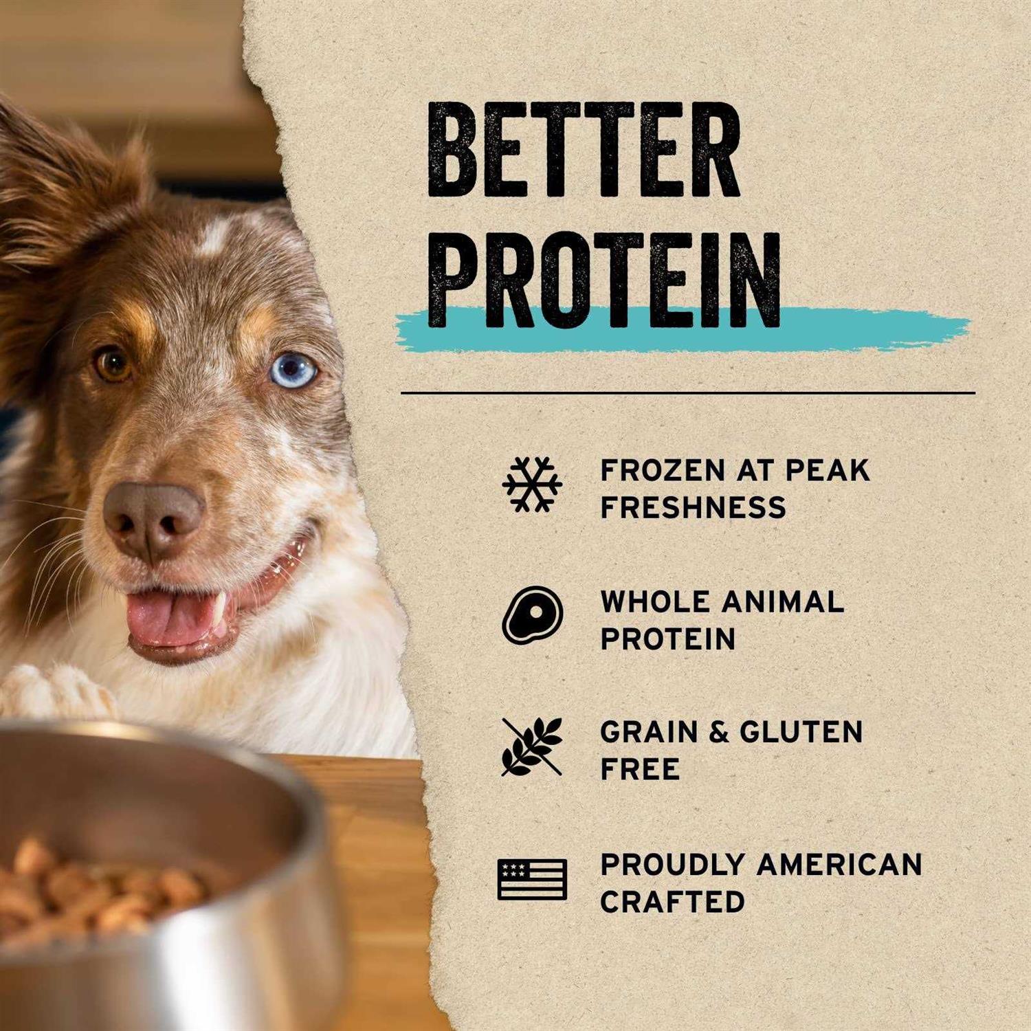 Freeze Dried Minnows Dog Treats O350008