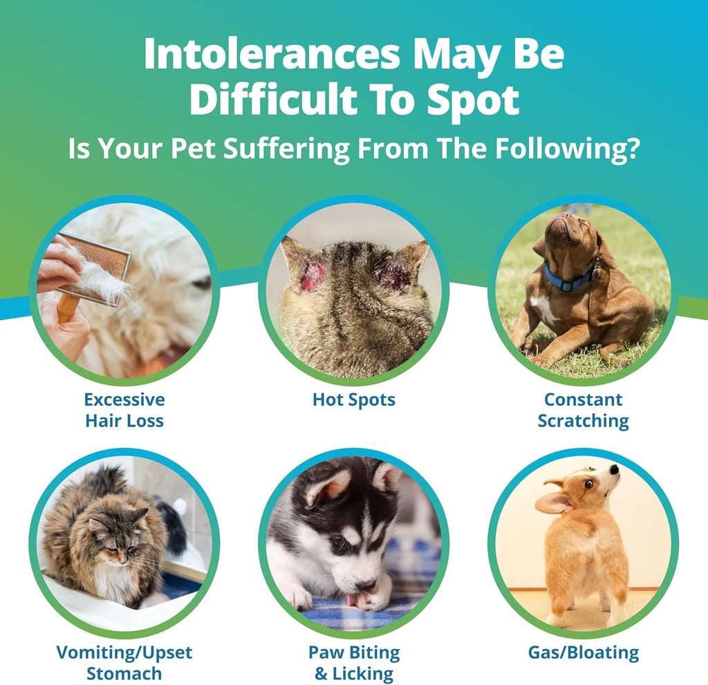 Pet Raw Food Intolerance & Environmental Sensitivity Test, Hair Sample Collection Kit H2716