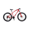 Electric Mountain Bike with Fat Tire S414