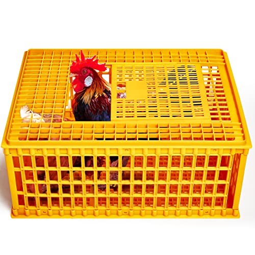 Plastic Poultry Carrier Crate for 13 Adult Chickens, 29.5 x 21.7 x 13 Inch F703656