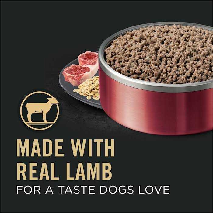 Wet Dog Food Pate Lamb and Oat Meal Entree B10977