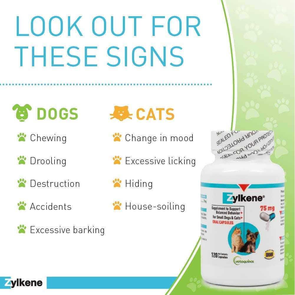 Pet Supplies Q648493