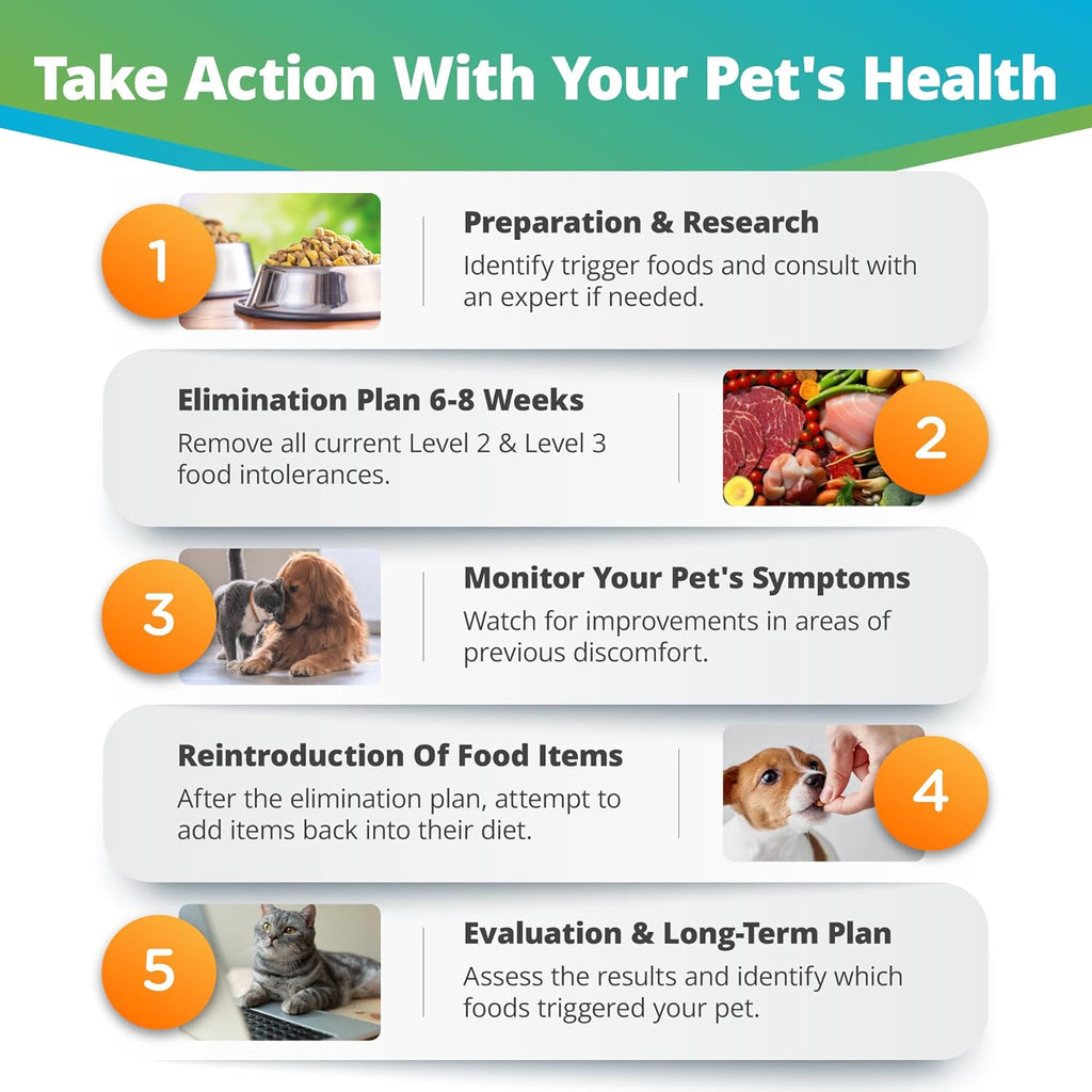 Pet Raw Food Intolerance & Environmental Sensitivity Test, Hair Sample Collection Kit H2716