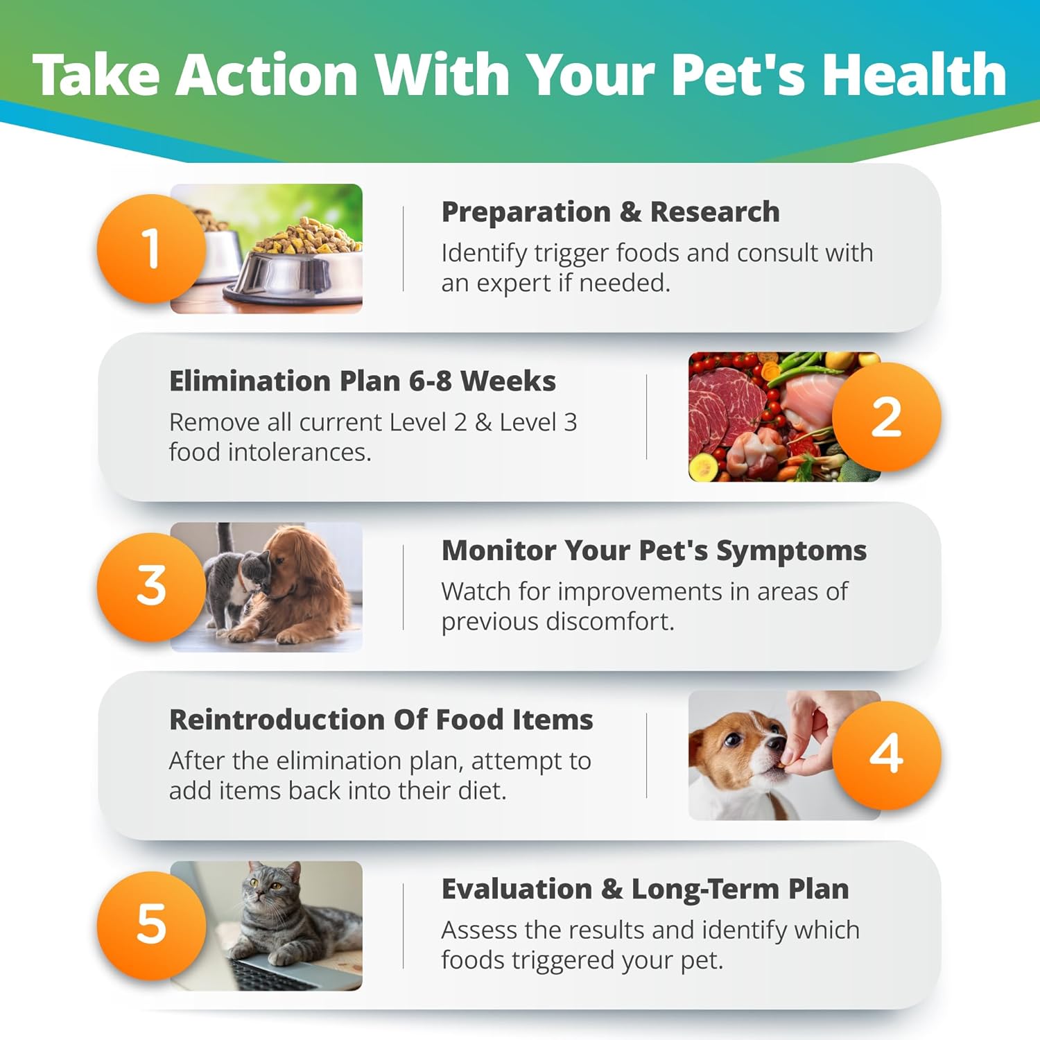 Pet Raw Food Intolerance & Environmental Sensitivity Test, Hair Sample Collection Kit H2716