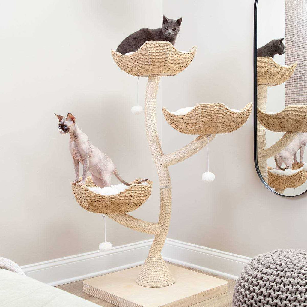 Modern Cat Tree Elevated Tower O908