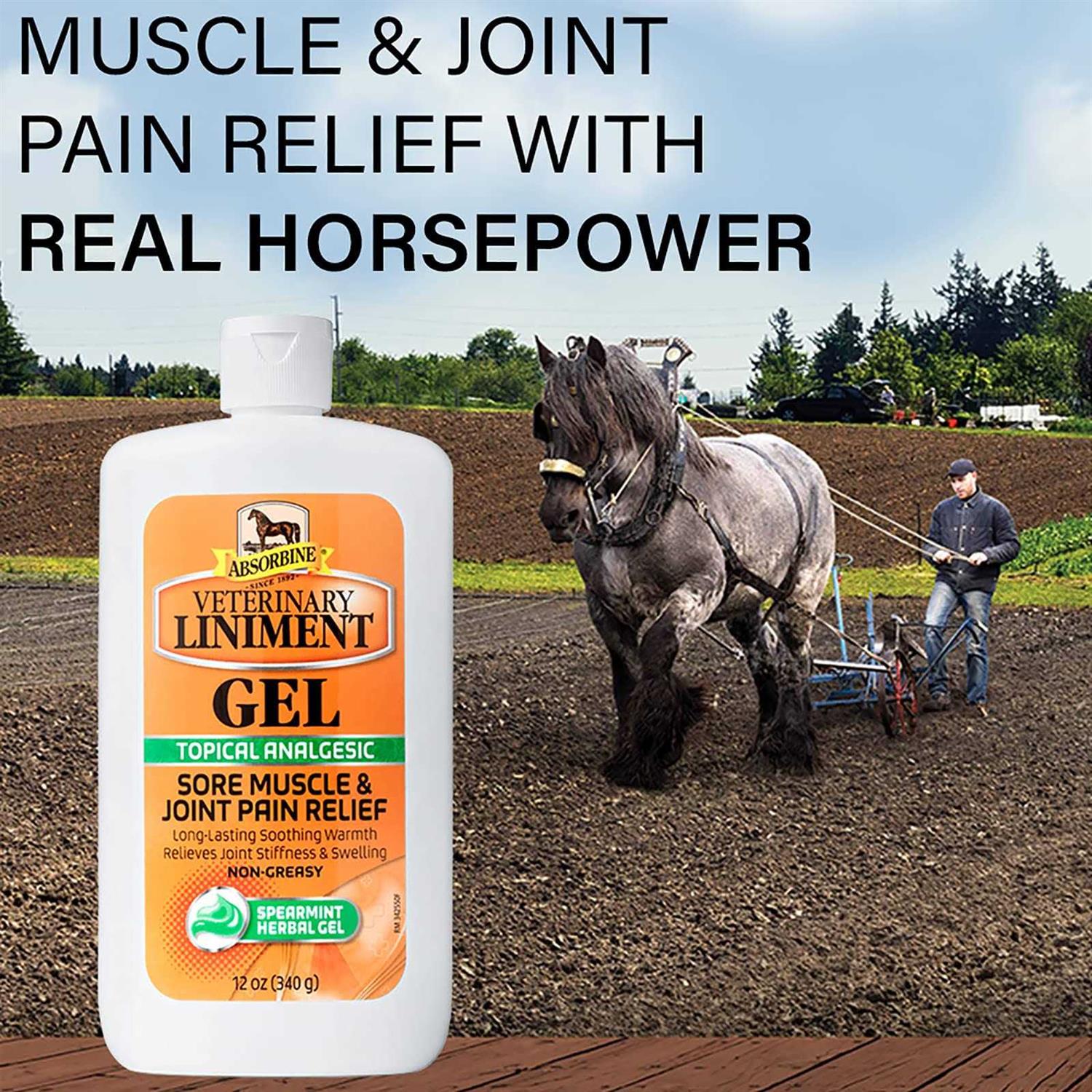 Absorbine Veterinary Liniment Gel O5148