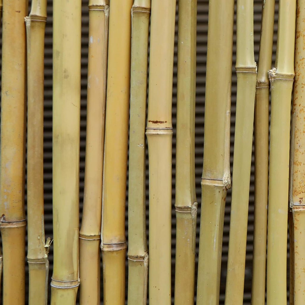 Bamboo Fence 8ft x 6ft Natural Privacy Screen T455144
