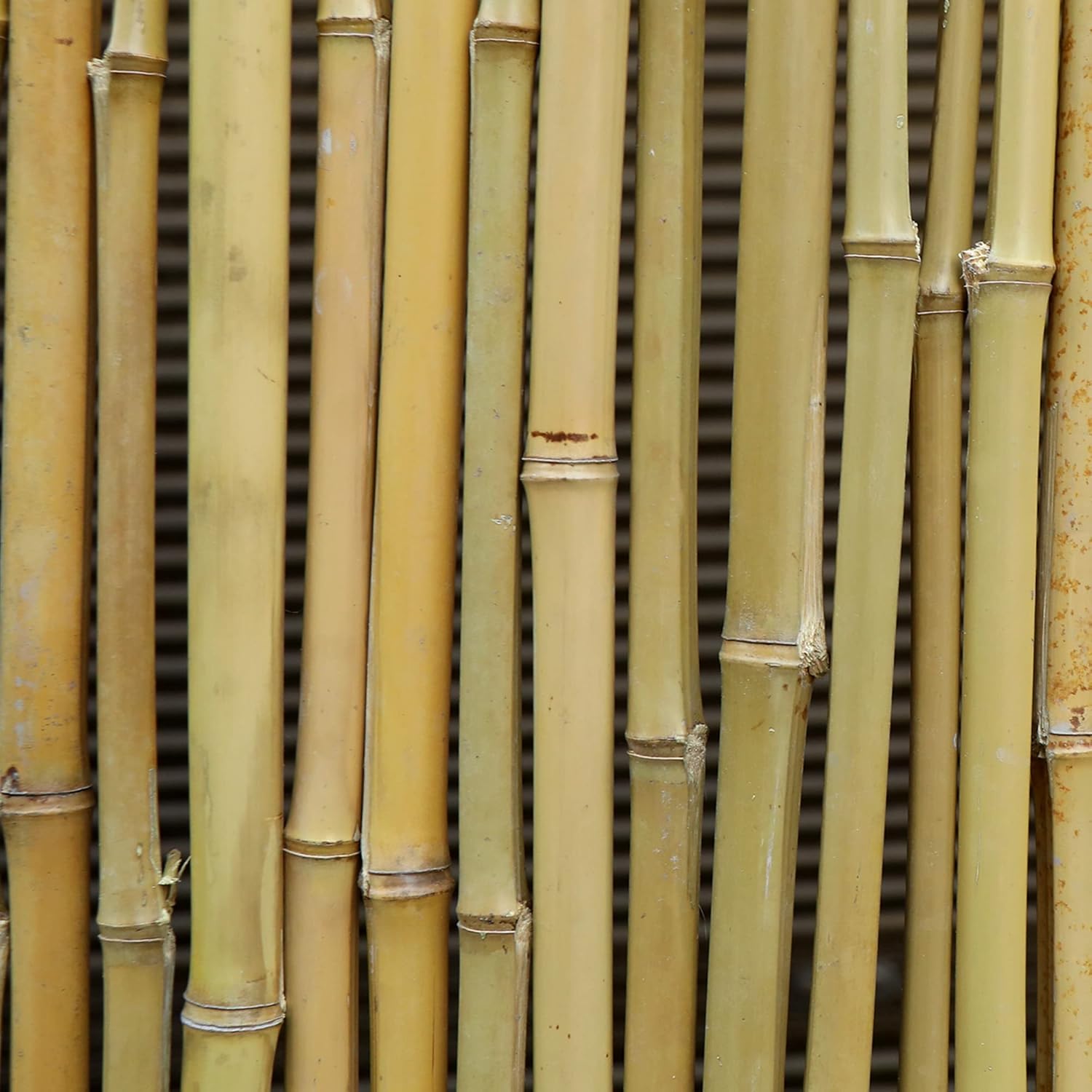 Bamboo Fence 8ft x 6ft Natural Privacy Screen T455144