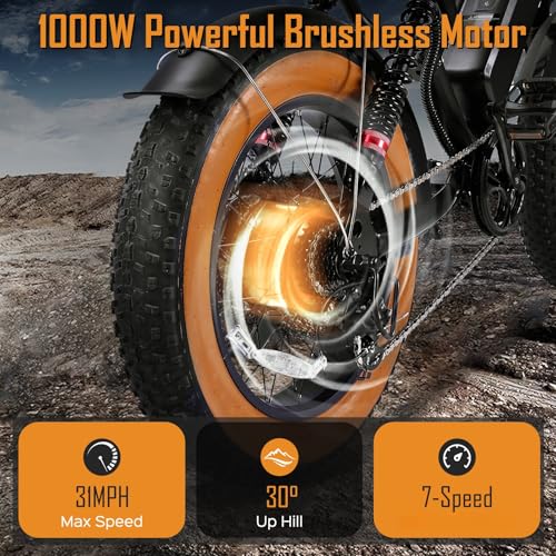 1000W 20" Fat Tire 48V 17.5AH Removable Battery Electric Bike V252