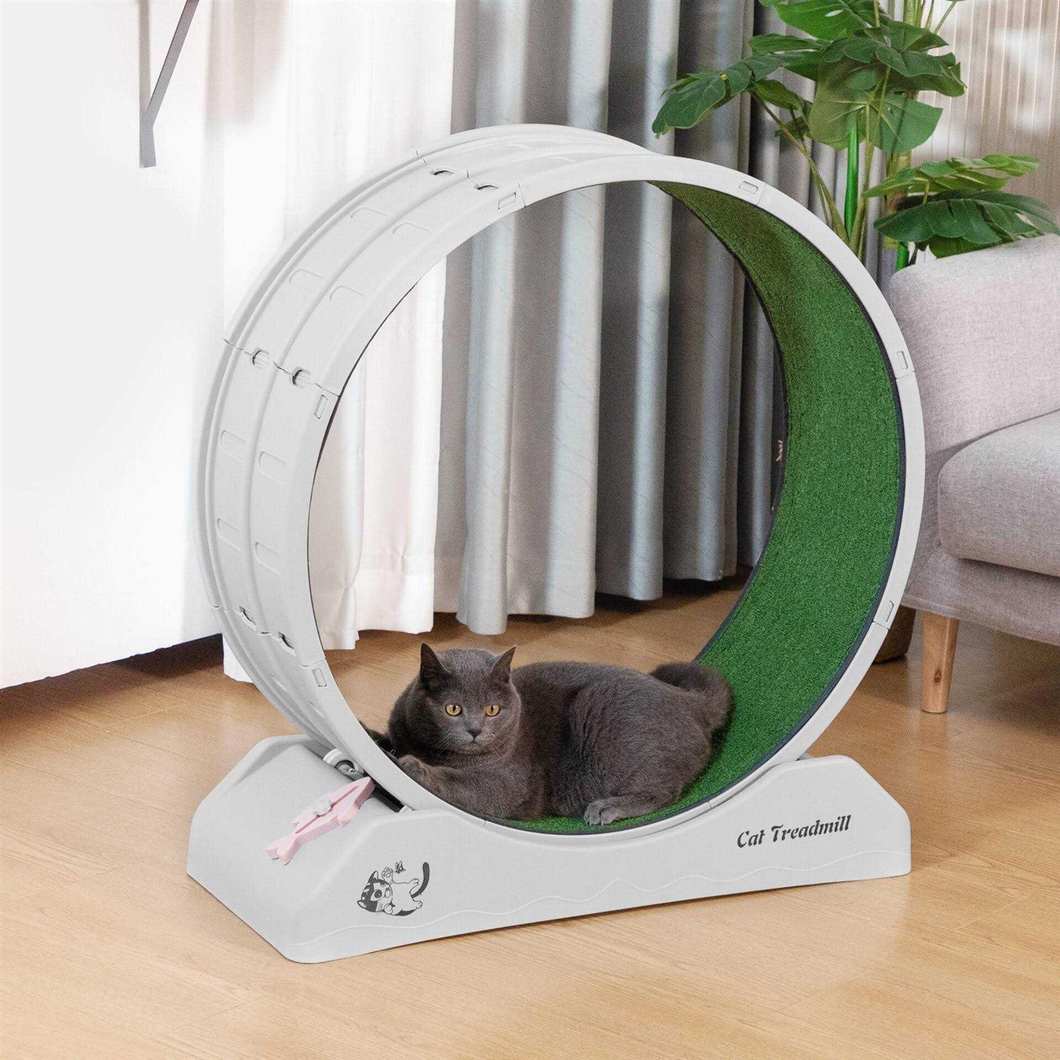 31.5L Cat Exercise Wheel with Locking Mechanism X551048