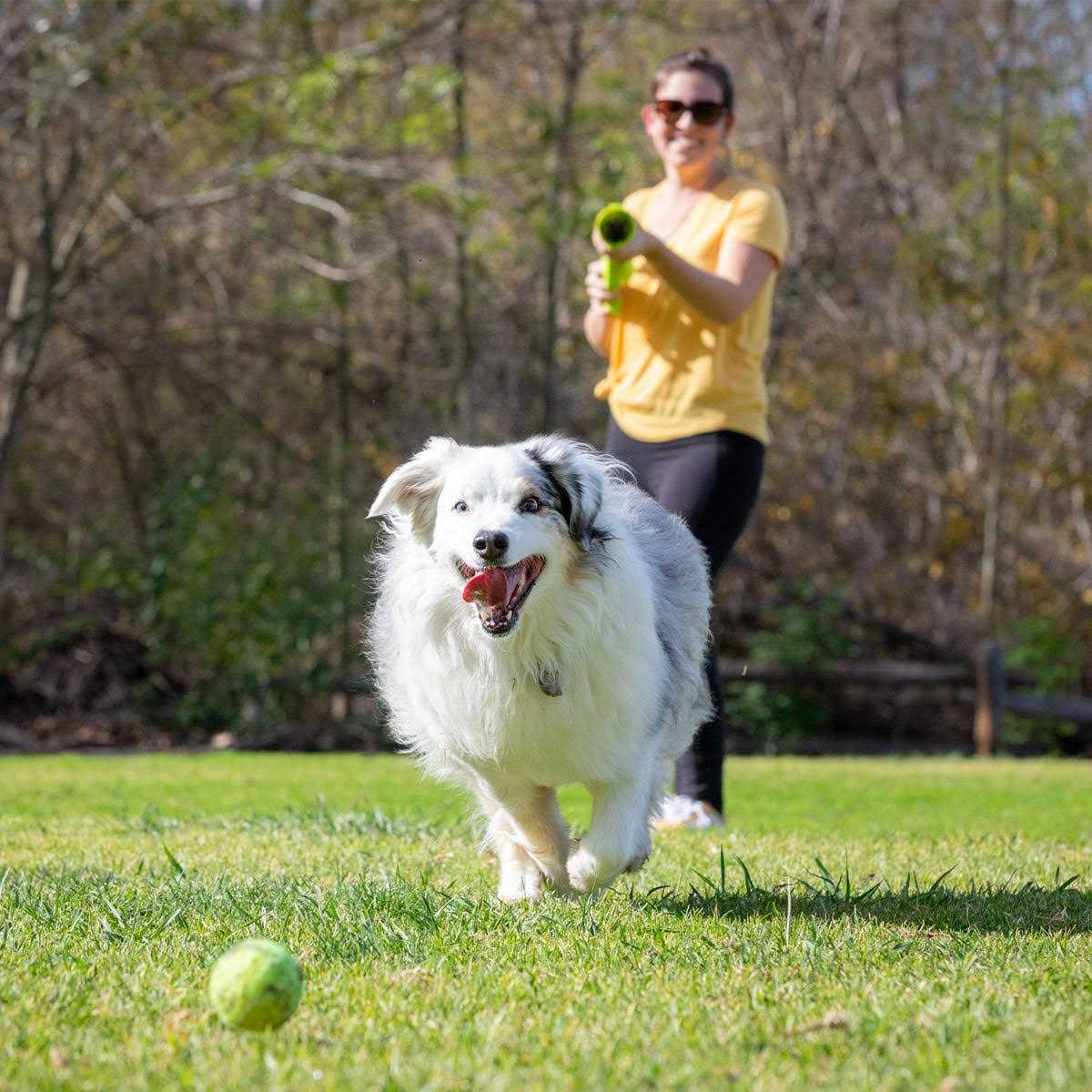 K9 Ball Launcher W3332