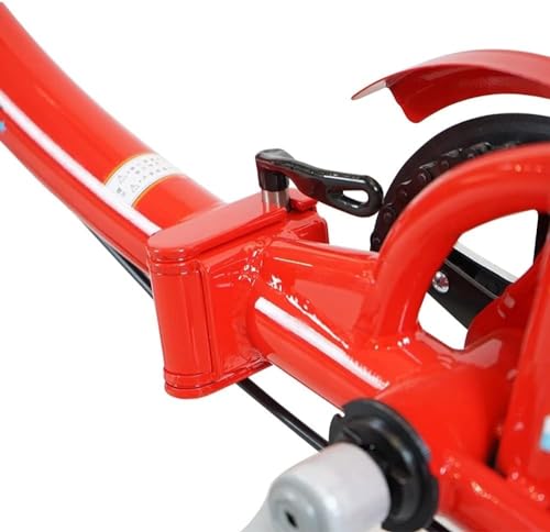 Lightweight Alloy Folding Bike with Colorful Wheel M737055