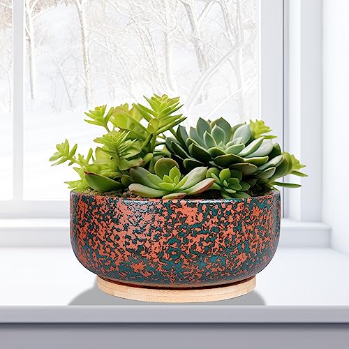 8 Inch Terracotta Planter with Drainage Hole and Bamboo Saucer A515170