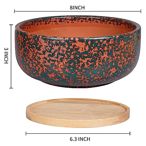 8 Inch Terracotta Planter with Drainage Hole and Bamboo Saucer A515170