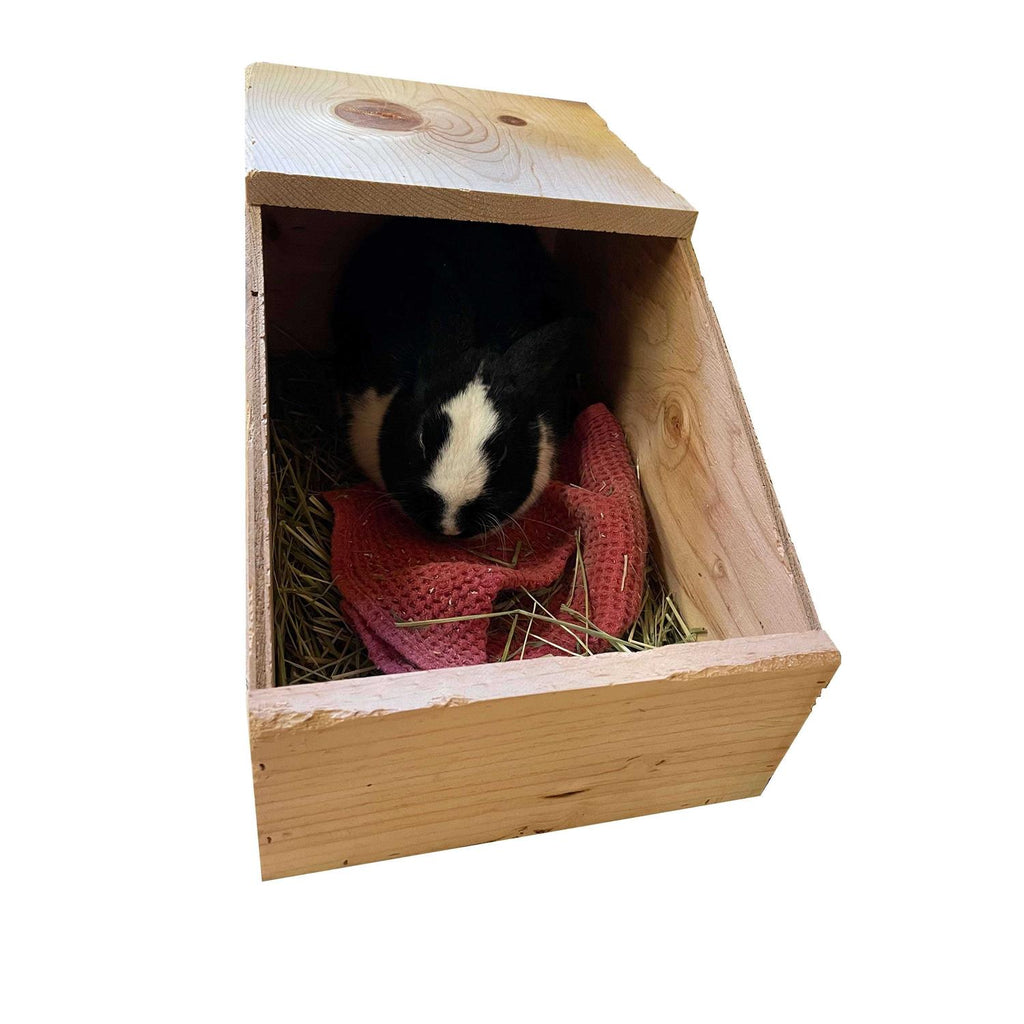 Rabbit Nesting Box B81546